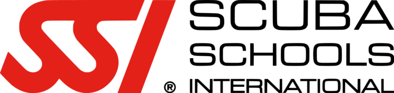 SSI-logo_new.svg