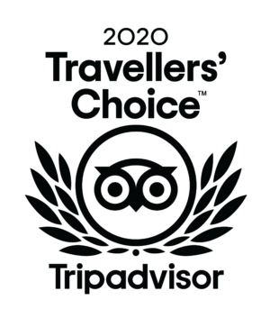 2020-Travellers-Choice-logo