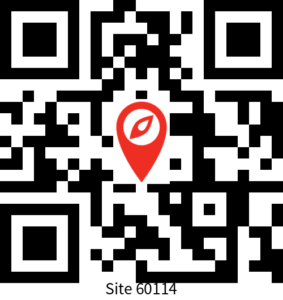 Scuba School International (SSI) dive site: Abades (QR code of site 60114)